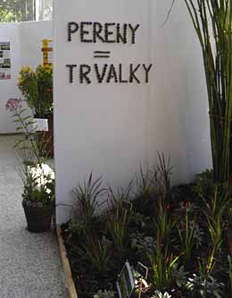 Trvalky Pereny - levá